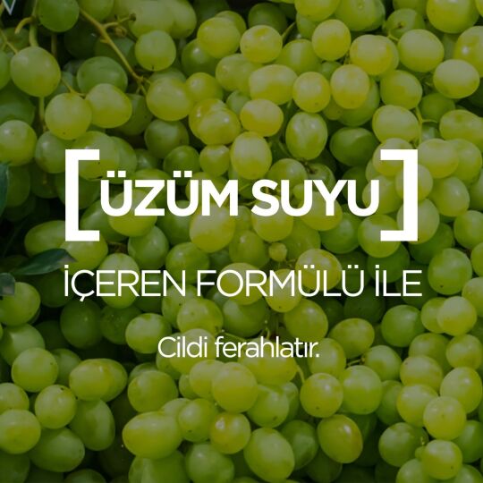 Garnier Botanik Ferahlatıcı Tonik - 2