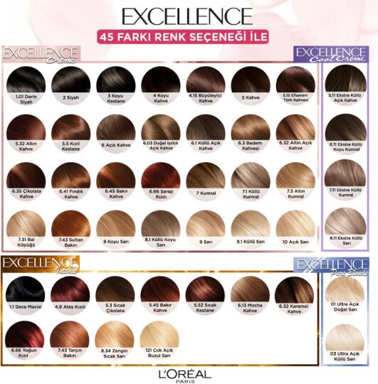 L'Oréal Paris L’oréal Paris Excellence Cool Creme Saç Boyası – 3.11 Ekstra Küllü Koyu Kahve - 5