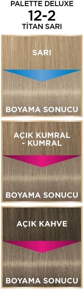 Palette Deluxe 12-2 Titan Sarı Saç Boyası - 4