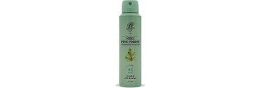 Rebul Erkek Sprey Deodorant Pine Forest 150 ml - 1