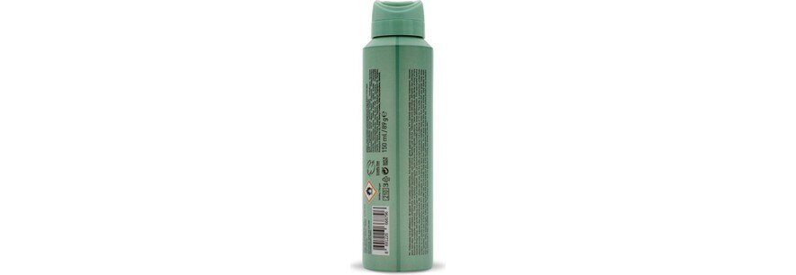 Rebul Erkek Sprey Deodorant Pine Forest 150 ml - 2