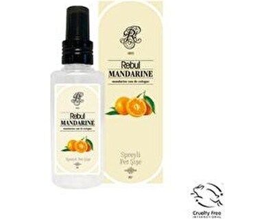 Rebul Mandarine Spreyli Kolonya Pet 125 ml - 2